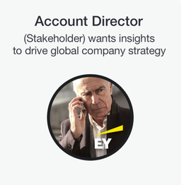 Account Director stakeholder persona