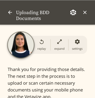 Vetavize app — uploading BDD documents